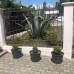 Guest House na Vozba 9A в Гудауте