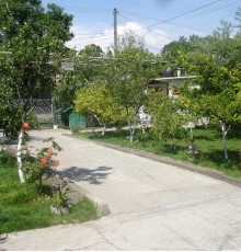 Guest house on Alania St.