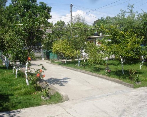 Guest house on Alania St. в Гудауте: честный обзор гостевого дома