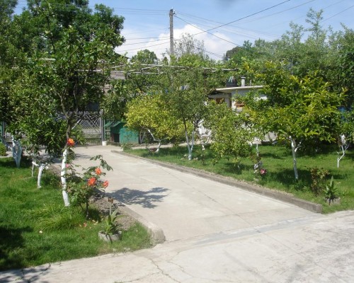 Guest house on Alania St. в Гудауте: честный обзор гостевого дома