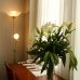 Ritsa Hotel 4* в Сухуме: что важно знать перед бронированием