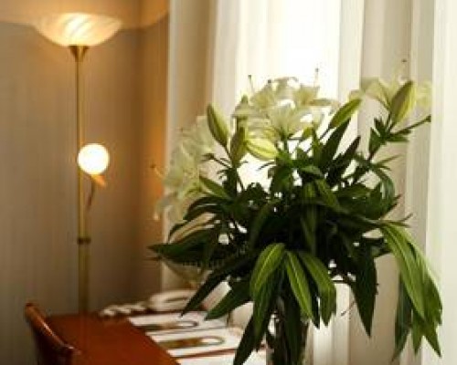 Ritsa Hotel 4* в Сухуме: что важно знать перед бронированием