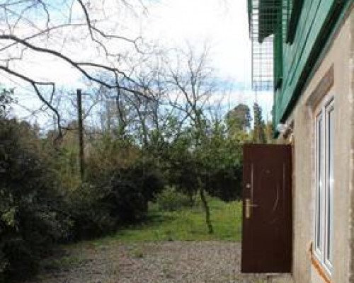 Green House в Сухуме: что важно знать перед бронированием