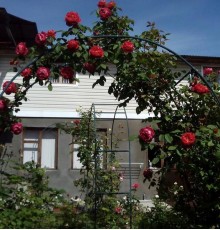 Roza Guest House