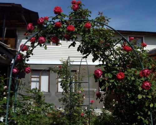 Roza Guest House в Сухуме — гостевой дом без категории