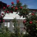 Roza Guest House в Сухуме — гостевой дом без категории