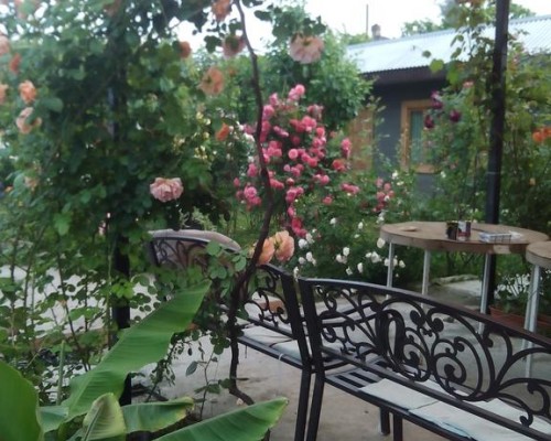 Roza Guest House в Сухуме — гостевой дом без категории