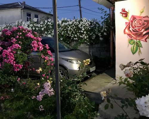 Roza Guest House в Сухуме — гостевой дом без категории
