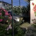 Roza Guest House в Сухуме — гостевой дом без категории