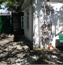 Amaliya's Guest house