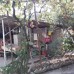 Amaliya's Guest house в Сухуме: гостевой дом с общей кухней