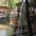 Guest House Monro — гостевой дом в Сухуме, Абхазия
