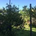 Guest house on Titova 84 — гостевой дом в Сухуме