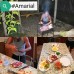 Homestay Evkaliptovaya Rosha — гостевой дом в Сухуме