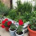 Guest house Y morya в Сухуме — гостевой дом у моря