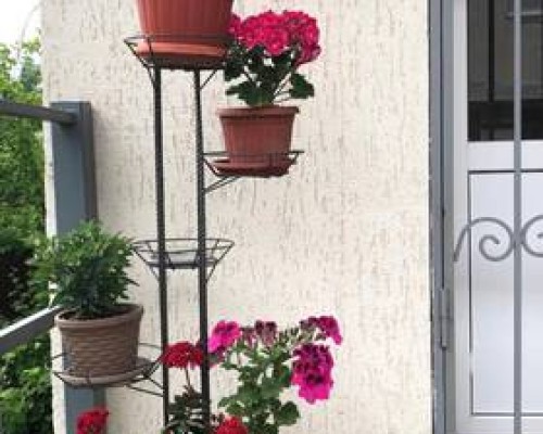 Guest house Y morya в Сухуме — гостевой дом у моря