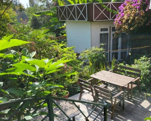 Guest House Maks — гостевой дом в Сухуме