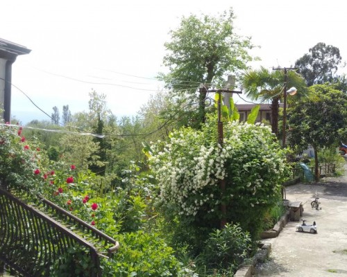 Guest House Maks — гостевой дом в Сухуме