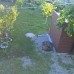 Гостевой дом na Ezugbaya в Сухуме (Абхазия)