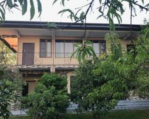 Mini-Hotel Machara в Сухуме: обзор гостевого дома без прикрас