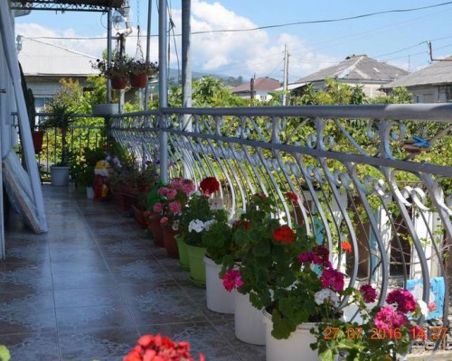 Guest House Sofia — гостевой дом в Сухуме