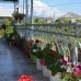 Guest House Sofia — гостевой дом в Сухуме