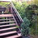 Guest House Sunrise в Гагре: гостевой дом без категории