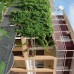 Green Guest house в Гагре — гостевой дом без звёзд