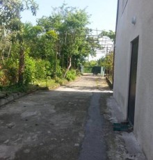 Белис Белис