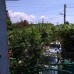 Отель Белис в Гагре — честный обзор для туристов