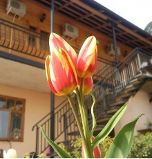 Mini-Otel' Gagra