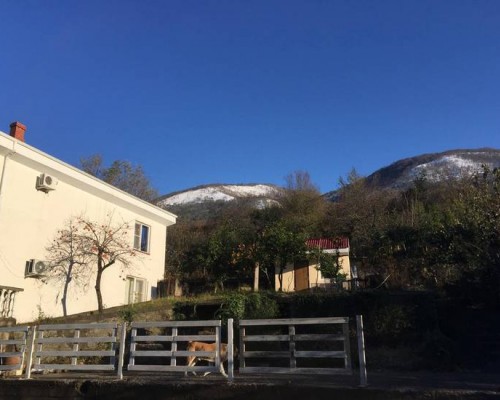 Holiday Home Otradnoye в Гагре: что это за место и кому оно подойдёт