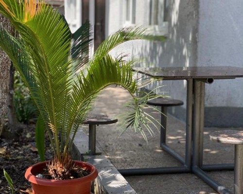 Guest House Margarita в Гагре: что нужно знать перед бронированием