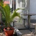 Guest House Margarita в Гагре: что нужно знать перед бронированием
