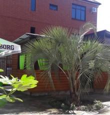 Anzhelika Guest House