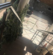 Guesthouse on Abazgaa 25