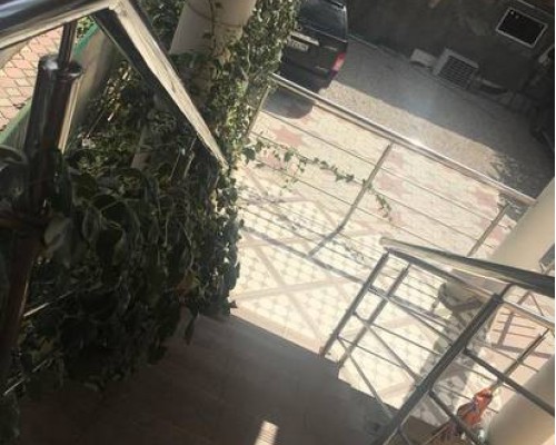 Guesthouse on Abazgaa 25 в Гагре: что это за гостевой дом