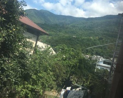 Guesthouse on Abazgaa 25 в Гагре: что это за гостевой дом