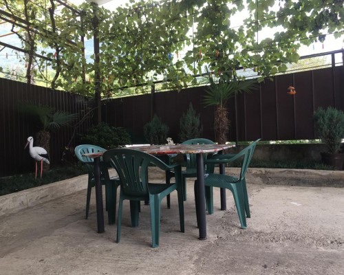 Guest house Svetlana в Гагре: честный обзор гостевого дома