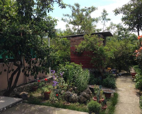 Guest House na Chanba 5 — гостевой дом в Гагре