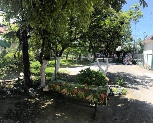 Guest house on Prospect Vladislava Ardzinba в Гагре