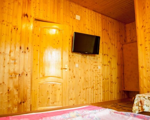 Roxana Guest House — гостевой дом в Гагре (Абхазия)