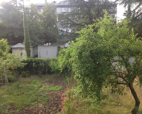 Apartment in Pizunda — апартаменты в Пицунде