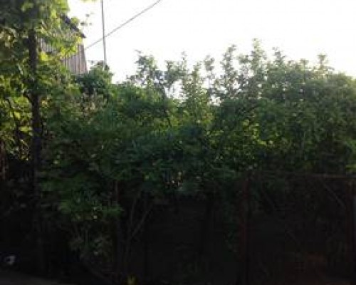 Apartment in Pizunda — апартаменты в Пицунде