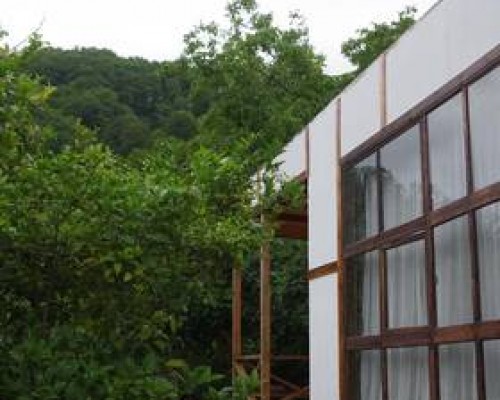 Bungalo в Пицунде: гостевые домики без звёзд