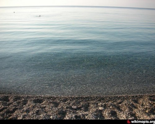 Rosemarine Hotel в Пицунде: честный обзор отеля