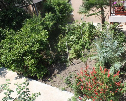 Guest House Diana — гостевой дом в Пицунде
