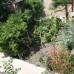 Guest House Diana — гостевой дом в Пицунде