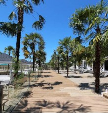 Del Mar Hotel