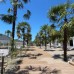 Del Mar Hotel в Пицунде: честный обзор отеля без категории